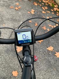 bicicletta elettrica 