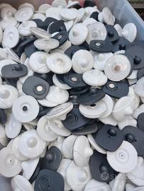 taccheggi per abbigliamento negozio 