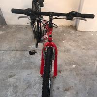 Bicicletta mtb