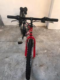 Bicicletta mtb