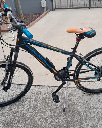 Bicicletta