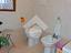 Immagine 12