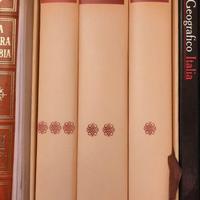 il codice atlantico LEONARDO DA VINCI