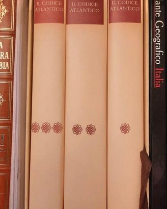 il codice atlantico LEONARDO DA VINCI