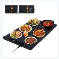 Vassoio piastra riscaldante pieghevole portatile