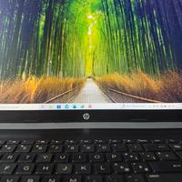 Computer portatile HP perfetto 256gb SSD DDr4