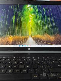 Computer portatile HP perfetto 256gb SSD DDr4