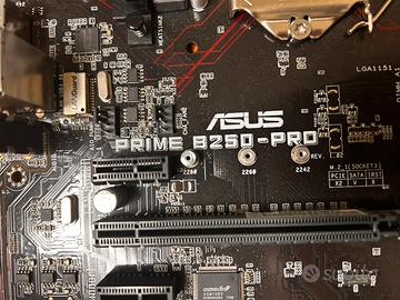 Scheda madre ASUS Prime B250-Pro – Socket LGA1151