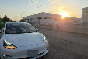 Tesla Model 3 Performance 2021