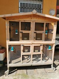 vogliera più 4 inseparabili