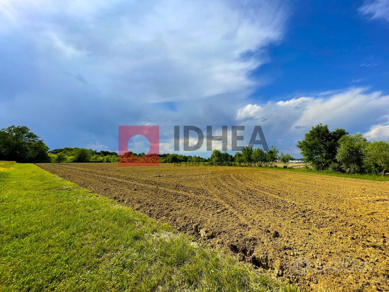 10.740 MQ TERRENO AGRICOLO TREVISO RIF "UT3" - Vista 2