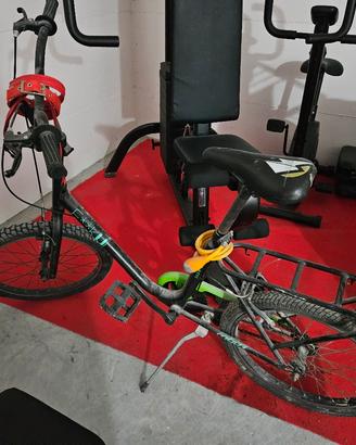 bicicletta 