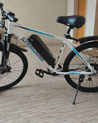 Bicicletta elettrica 