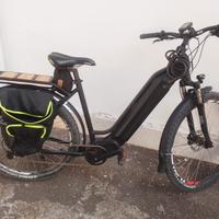 Bici elettrica