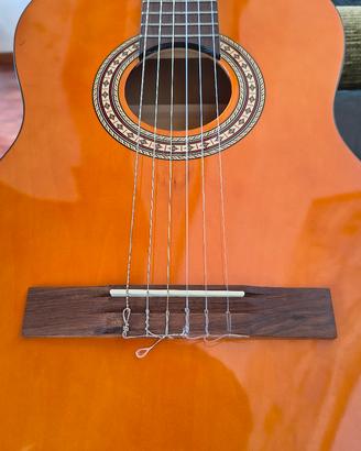 Chitarra - Guitar