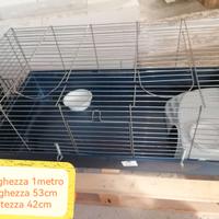 Gabbia grande per roditori