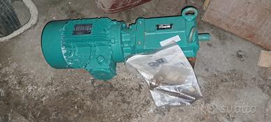 moto riduttore trifase