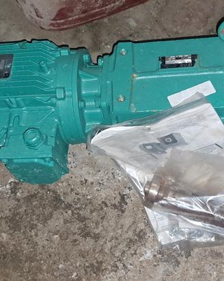 moto riduttore trifase