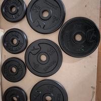 Dischi Domyos in ghisa nuovi in omaggio 2 manubri