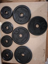 Dischi Domyos in ghisa nuovi in omaggio 2 manubri