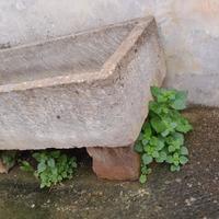 pila in pietra leccese 