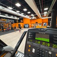 Bage palestra