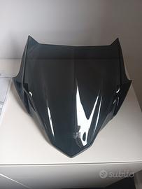 cupolino bmw