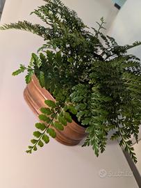 Vaso rame ovale porta piante cm 27 x 13,5