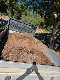 STALLATICO DI CAVALLO