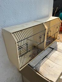 gabbiette per canarini