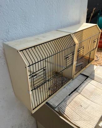 gabbiette per canarini