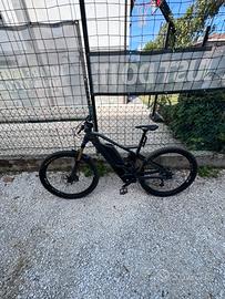 ORBEA WILD