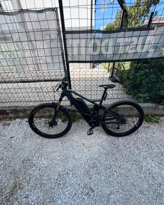 ORBEA WILD