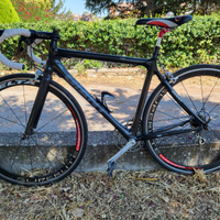 Giant carbonio