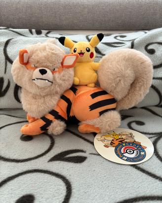 Pokémon Arcanine & Pikachu Pokemon Center Okinawa