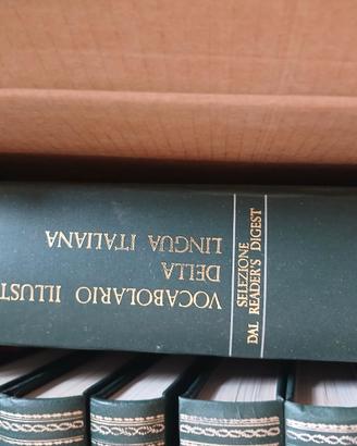 Dizionario illustartivo 2 volumi