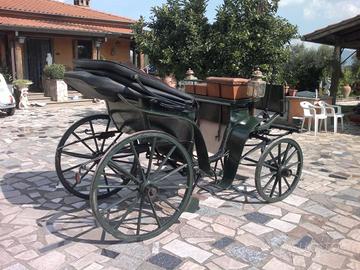 Carrozze cavalli
