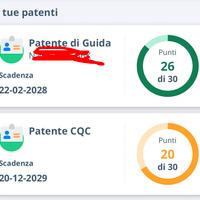 Autista Italiano patente A B C D /C+CQC