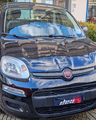 Fiat Panda 1.2 EasyPower Easy