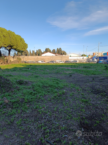 Terreno Livorno