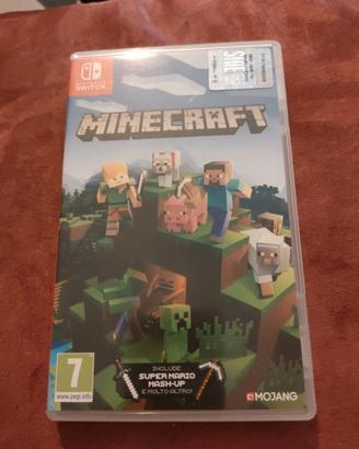 Minecraft per Nintendo switch 