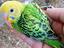 Immagine 1