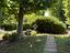 Immagine 22