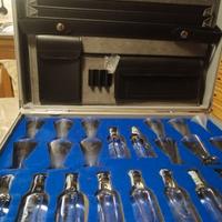 Valigetta con miniature botanicals gin Bombay