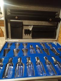 Valigetta con miniature botanicals gin Bombay