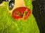 Immagine 2