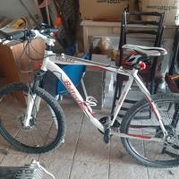  bicicletta bottecchia