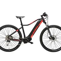 BICI ADRIATICA RAYON 29"