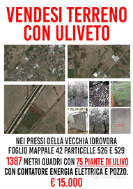Terreno con uliveto