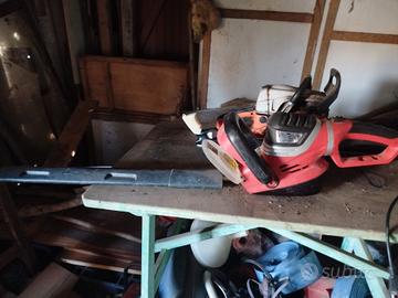 Taglia siepe elettrico 